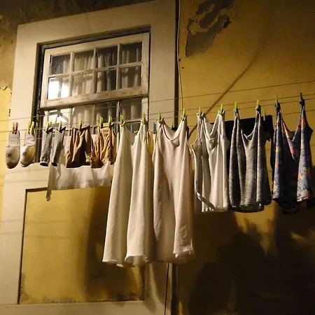 Historical Flat Design 公寓 *